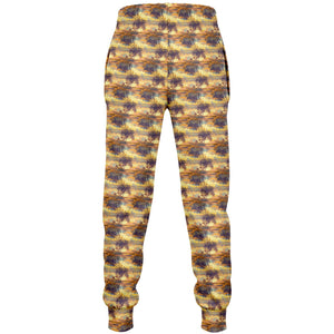 Florida Firesky - Kids Fashion Joggers