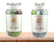 Load image into Gallery viewer, Sensory kit and Book Gift Set
