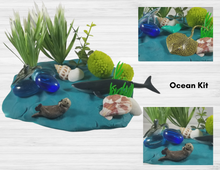 Load image into Gallery viewer, Sensory kit and Book Gift Set