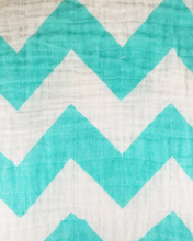Load image into Gallery viewer, Lightweight Baby Blanket, 2 Pack, Travel Bag (Bear Print and Blue Zigzag)