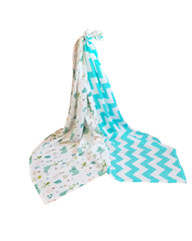 Load image into Gallery viewer, Lightweight Baby Blanket, 2 Pack, Travel Bag (Bear Print and Blue Zigzag)