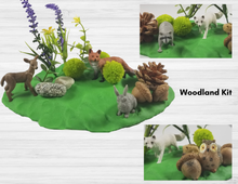 Load image into Gallery viewer, Sensory kit and Book Gift Set
