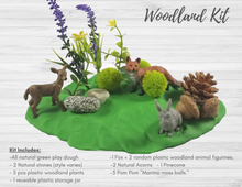 Load image into Gallery viewer, Sensory kit and Book Gift Set
